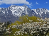 Central Ridge Boutique Hotel, Central Accommodation in Queenstown, New Zealand - Remarkables in Spring